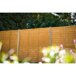6ft x 5ft (1.83m x 1.52m) Forest Garden Dip Treated Overlap Fence Panel (Pack of 3)