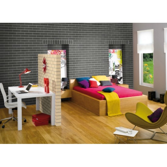 Roben Portland Anthracite Smooth Clinker Brick