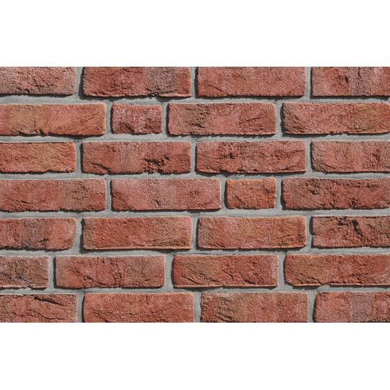 Roben Formback Light Red Shaded Facing Brick