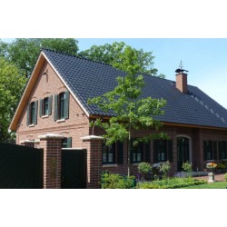 Roben Wiesmoor Light Red Shaded Facing Brick