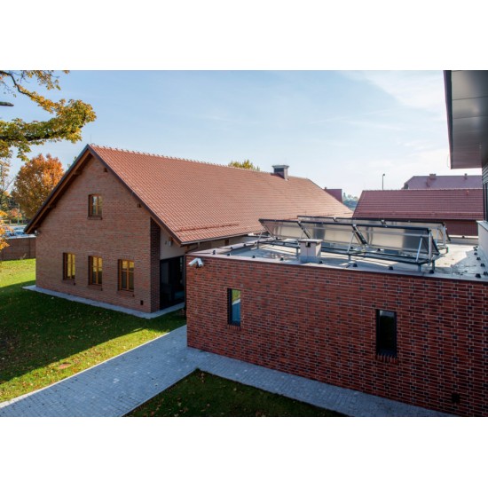 Roben Darwin PEXLDF Red and Brown Smooth Clinker Tile